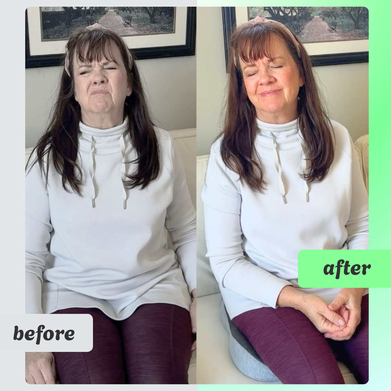 SitEase™ Cushion 2in1